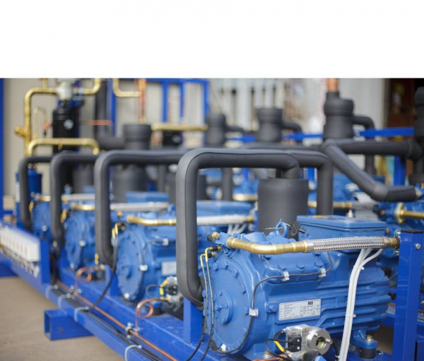 фото ЮКОН СНЭП